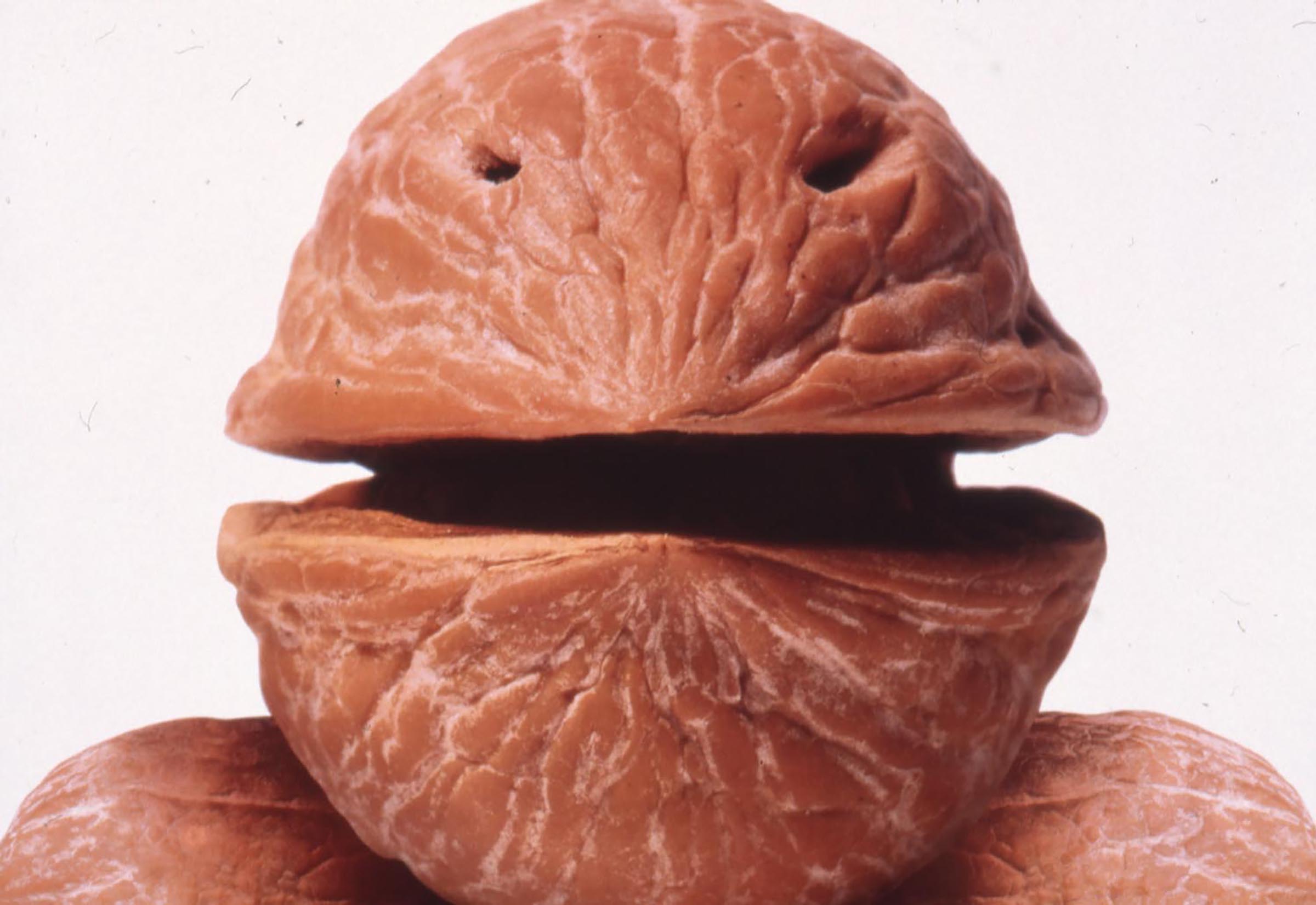 Armando Testa, Nocero umbro, 1991